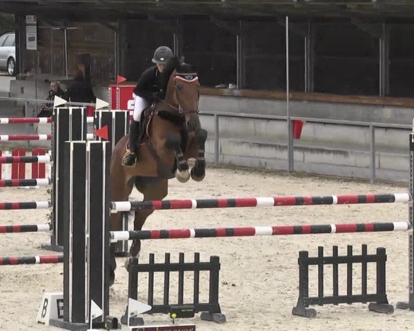 Frühjahrsturnier Ingolstadt Hagau 2017