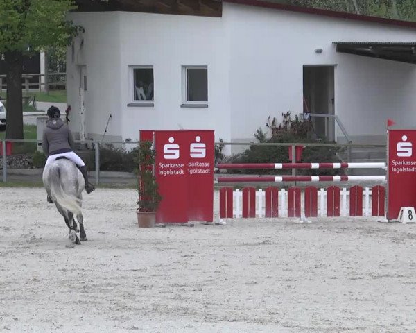 Frühjahrsturnier Ingolstadt Hagau 2017