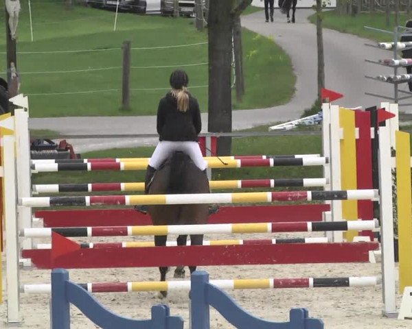 Frühjahrsturnier Ingolstadt Hagau 2017