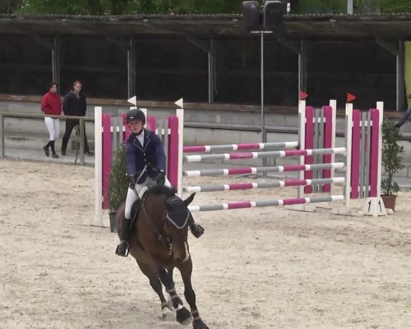 Frühjahrsturnier Ingolstadt Hagau 2017