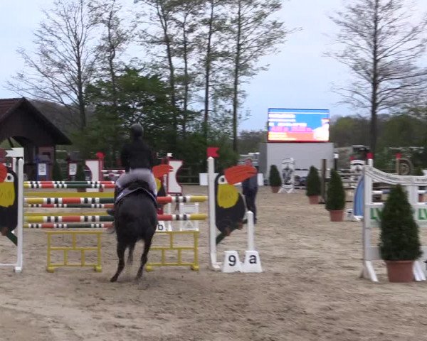 LVM Ponychampionat Münster-Nienberge 2017