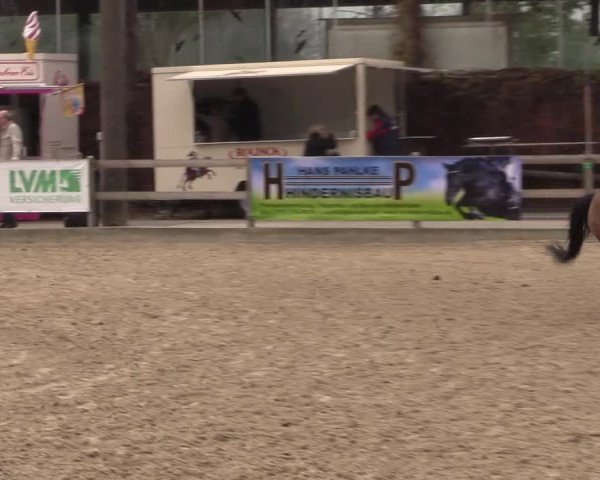 LVM Ponychampionat Münster-Nienberge 2017