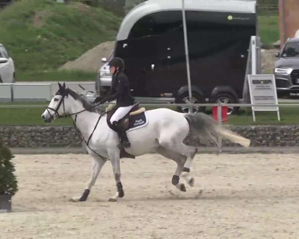 Frühjahrsturnier Ingolstadt Hagau 2017