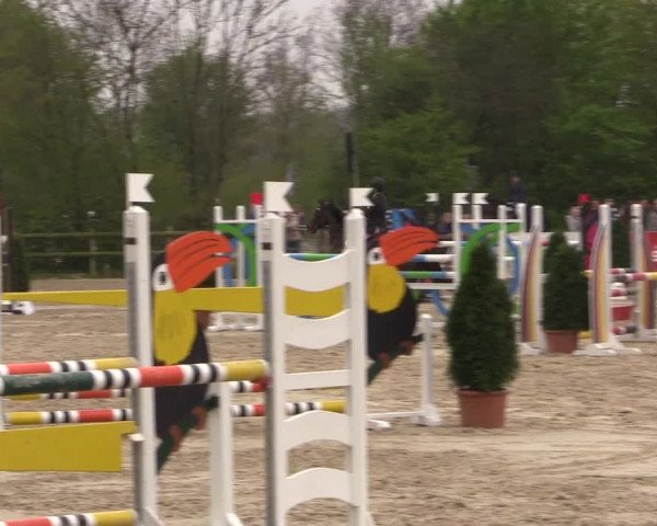 LVM Ponychampionat Münster-Nienberge 2017