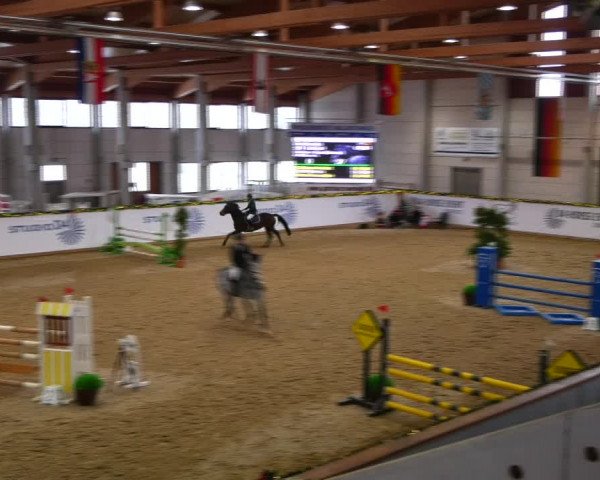 Christmas Jumping Trophy Prussendorf 2021