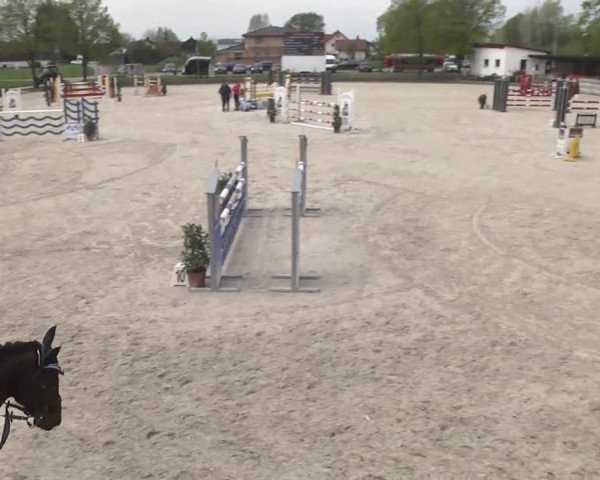 Frühjahrsturnier Ingolstadt Hagau 2017