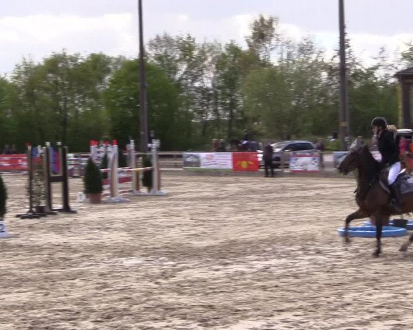 LVM Ponychampionat Münster-Nienberge 2017