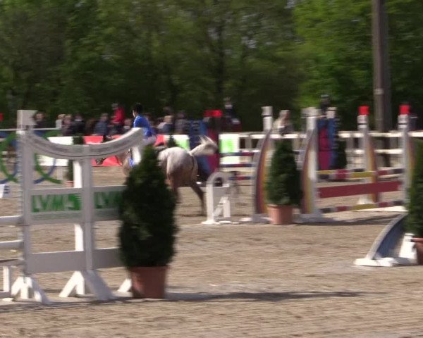 LVM Ponychampionat Münster-Nienberge 2017