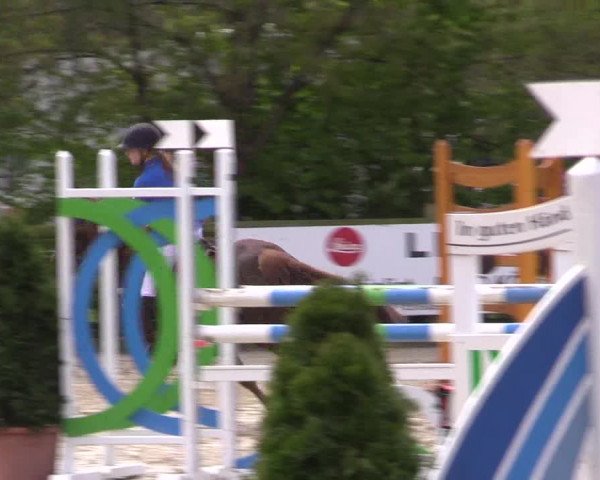 LVM Ponychampionat Münster-Nienberge 2017