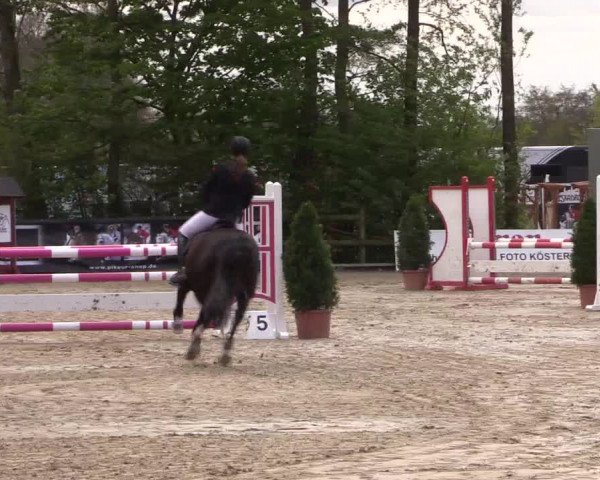LVM Ponychampionat Münster-Nienberge 2017