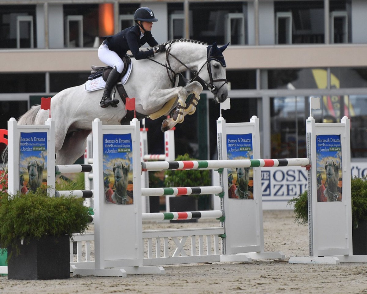stallion Special Effect (Oldenburg show jumper, 2012, from Stakko)