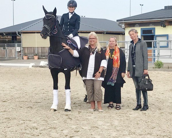 dressage horse Donna Helena (Hanoverian, 2014, from Diamond Hit)