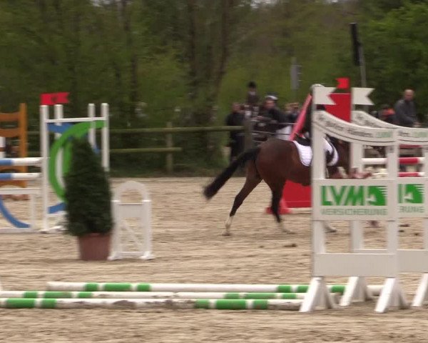 LVM Ponychampionat Münster-Nienberge 2017