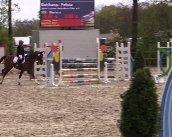 LVM Ponychampionat Münster-Nienberge 2017