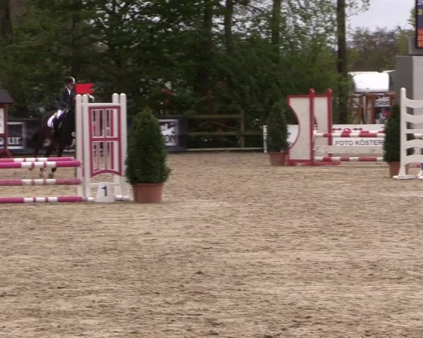 LVM Ponychampionat Münster-Nienberge 2017