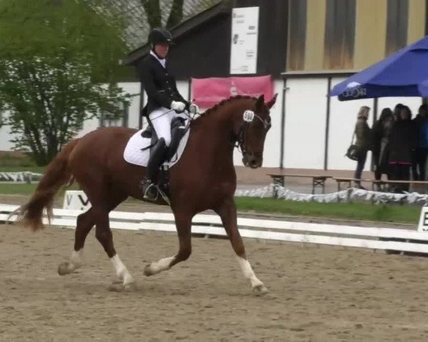 Frühjahrsturnier Ingolstadt Hagau 2017