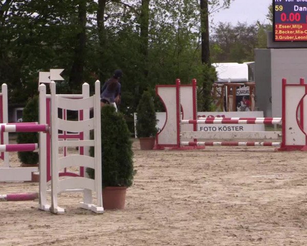 LVM Ponychampionat Münster-Nienberge 2017
