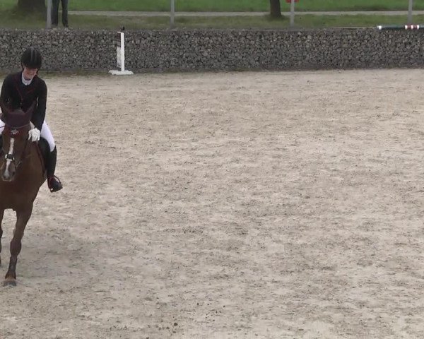 Frühjahrsturnier Ingolstadt Hagau 2017