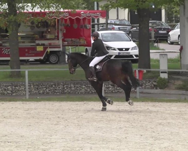 Frühjahrsturnier Ingolstadt Hagau 2017