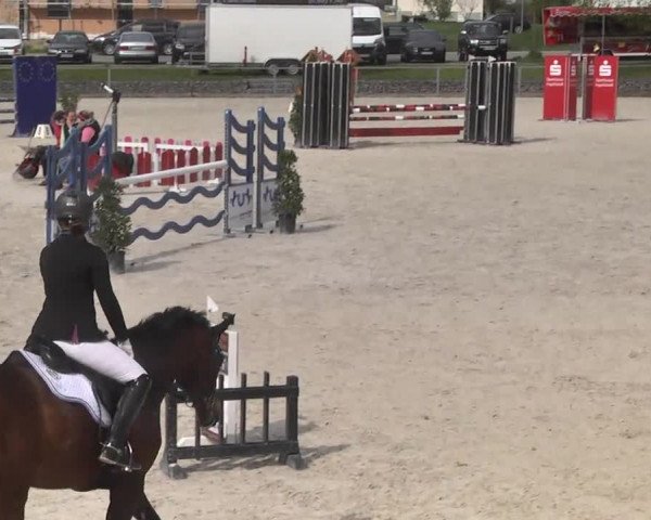 Frühjahrsturnier Ingolstadt Hagau 2017