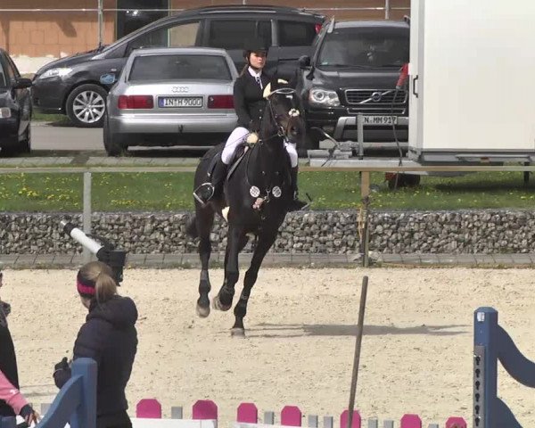 Frühjahrsturnier Ingolstadt Hagau 2017