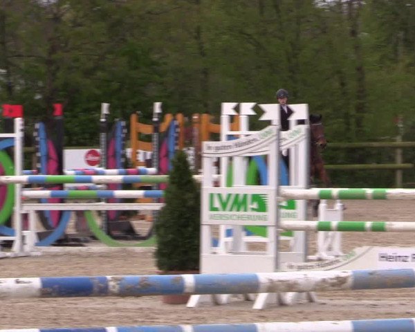 LVM Ponychampionat Münster-Nienberge 2017