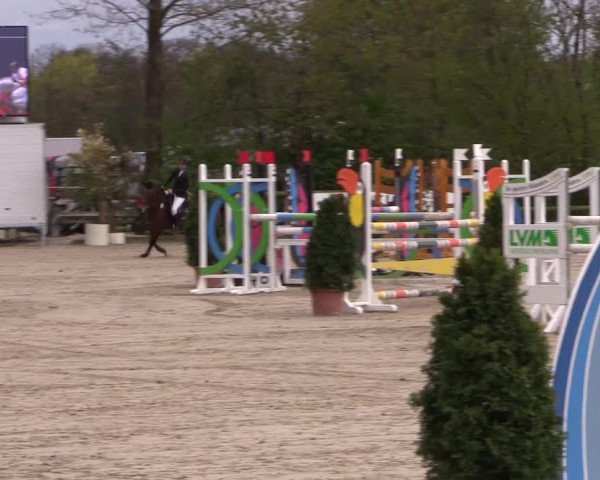 LVM Ponychampionat Münster-Nienberge 2017