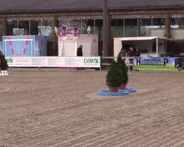 LVM Ponychampionat Münster-Nienberge 2017