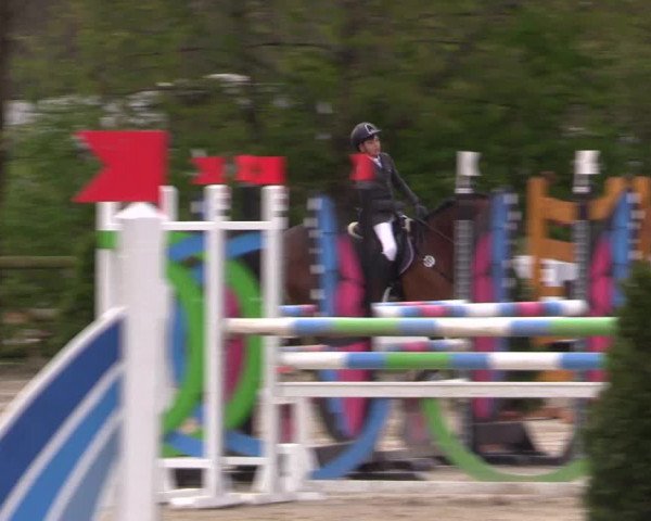 LVM Ponychampionat Münster-Nienberge 2017