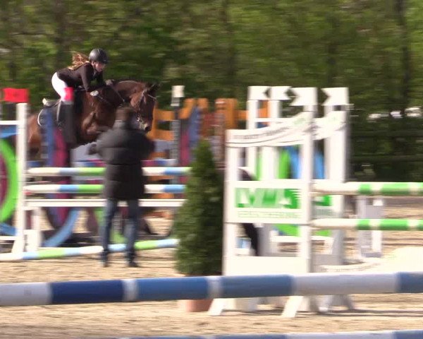 LVM Ponychampionat Münster-Nienberge 2017