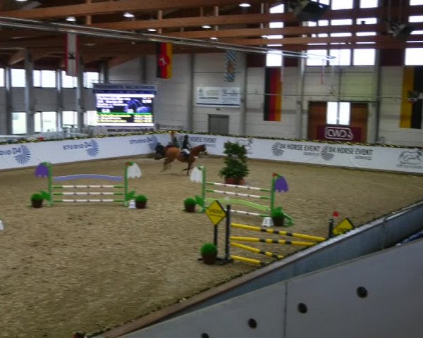 Christmas Jumping Trophy Prussendorf 2021