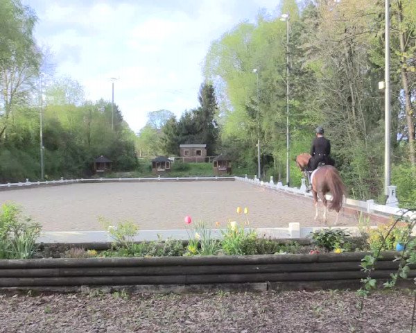 Reitturnier Mettmann - Reitanlage Löckenhoff 2017