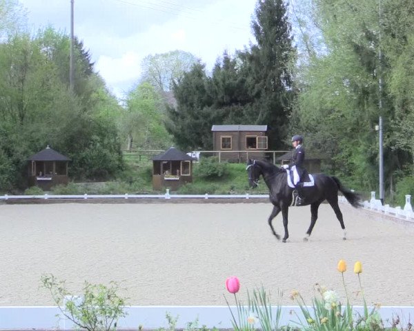 Reitturnier Mettmann - Reitanlage Löckenhoff 2017