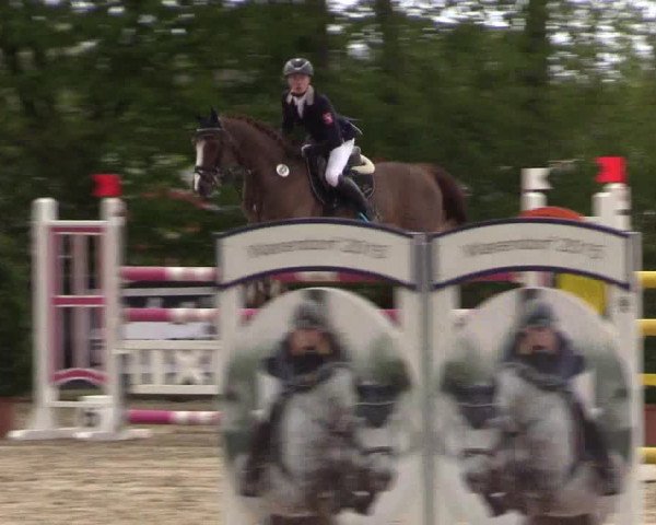 LVM Ponychampionat Münster-Nienberge 2017