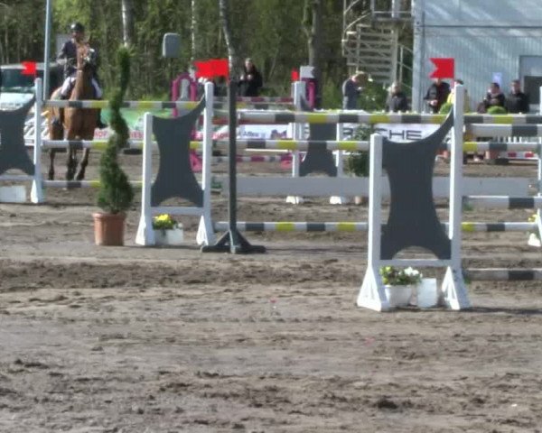 Reitturnier Bad Schwartau 2017