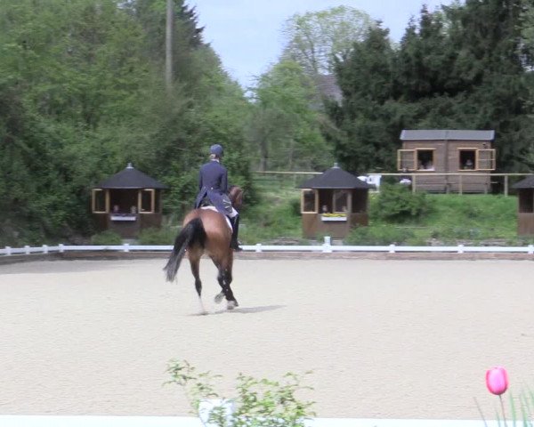 Reitturnier Mettmann - Reitanlage Löckenhoff 2017