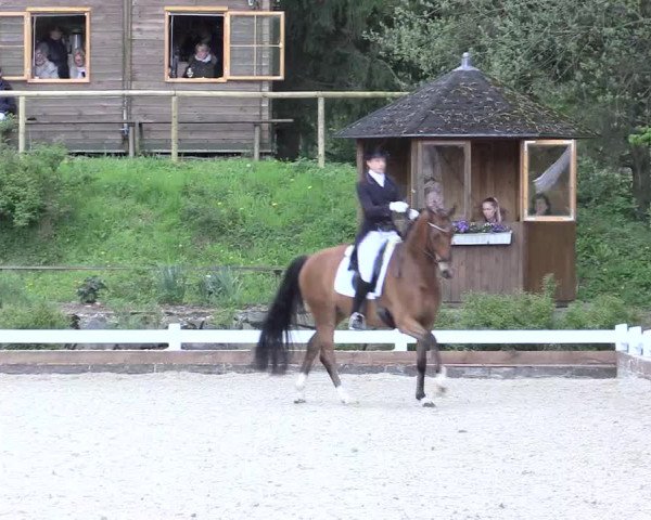 Reitturnier Mettmann - Reitanlage Löckenhoff 2017