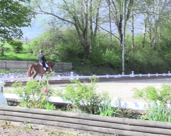 Reitturnier Mettmann - Reitanlage Löckenhoff 2017