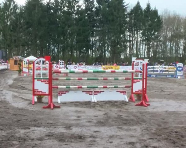Reitturnier Bad Schwartau 2017