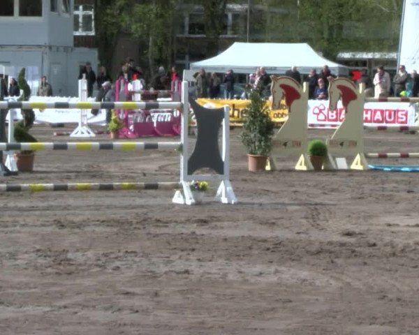 Reitturnier Bad Schwartau 2017