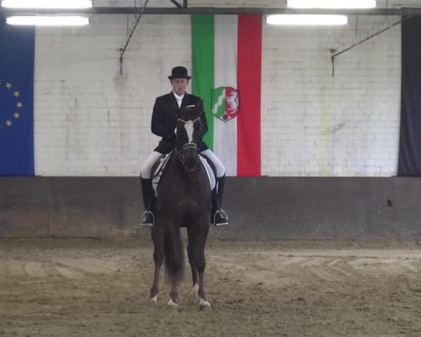Dressurturnier Jüchen-Waat 2017