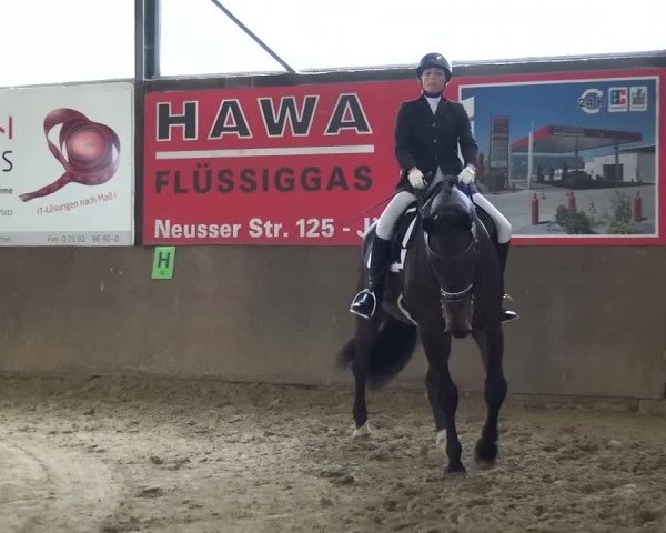 Dressurturnier Jüchen-Waat 2017