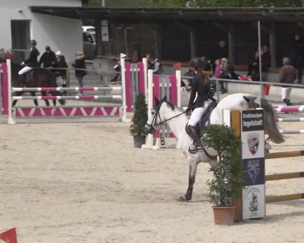 Frühjahrsturnier Ingolstadt Hagau 2017