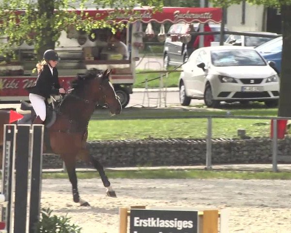 Frühjahrsturnier Ingolstadt Hagau 2017
