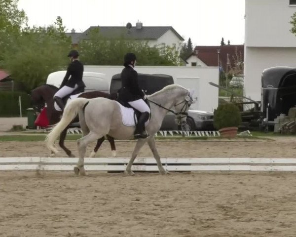 Frühjahrsturnier Ingolstadt Hagau 2017