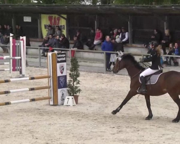 Frühjahrsturnier Ingolstadt Hagau 2017