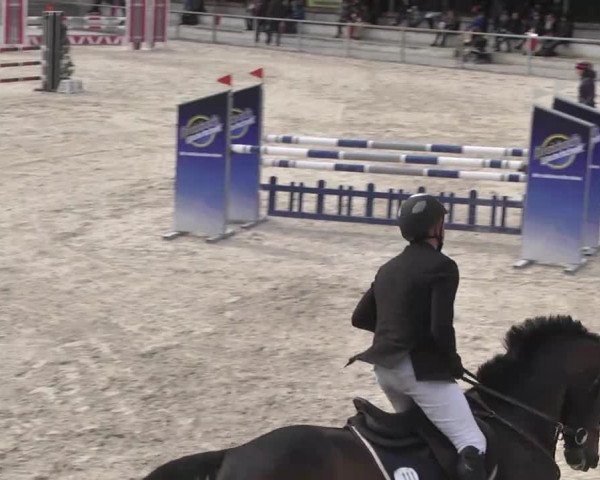 Frühjahrsturnier Ingolstadt Hagau 2017