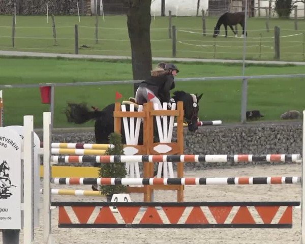 Frühjahrsturnier Ingolstadt Hagau 2017