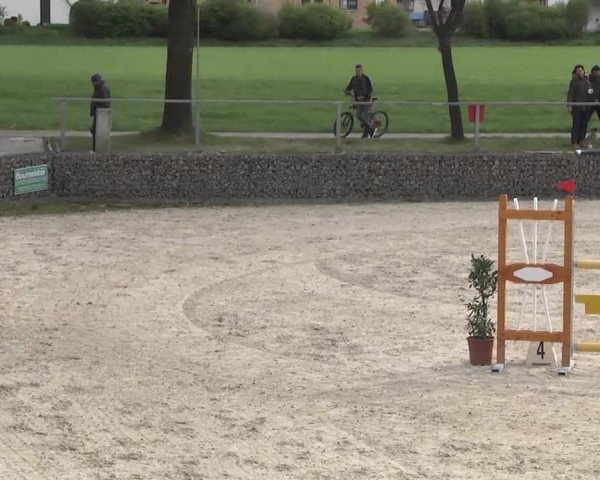 Frühjahrsturnier Ingolstadt Hagau 2017