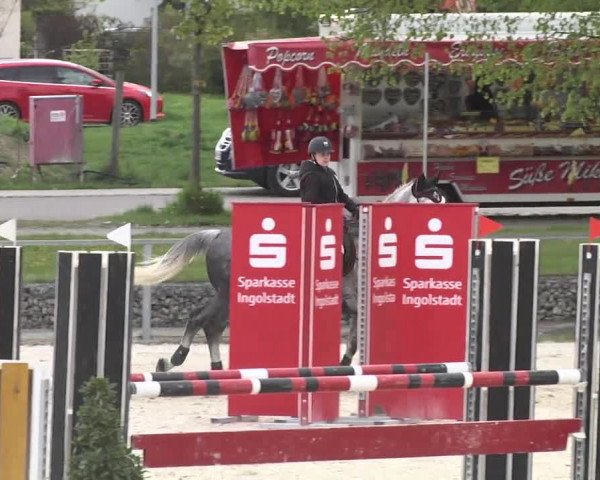 Frühjahrsturnier Ingolstadt Hagau 2017